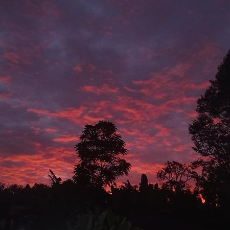 Tapian Ratu Camp Real Bukittinggi Esterno foto
